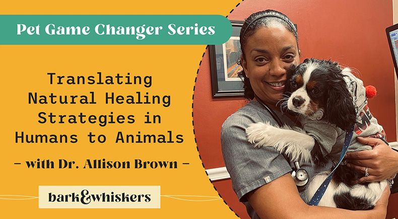 dr allison brown integrative veterinarian
