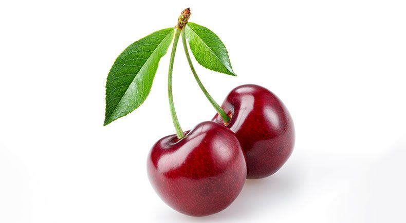 can you feed sweet cherries to your pet