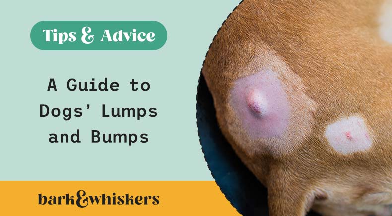 dog lumps and bumps