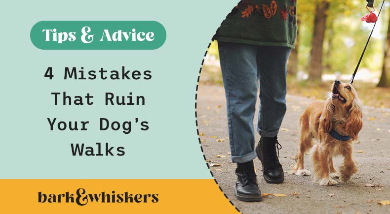 dog walking mistakes