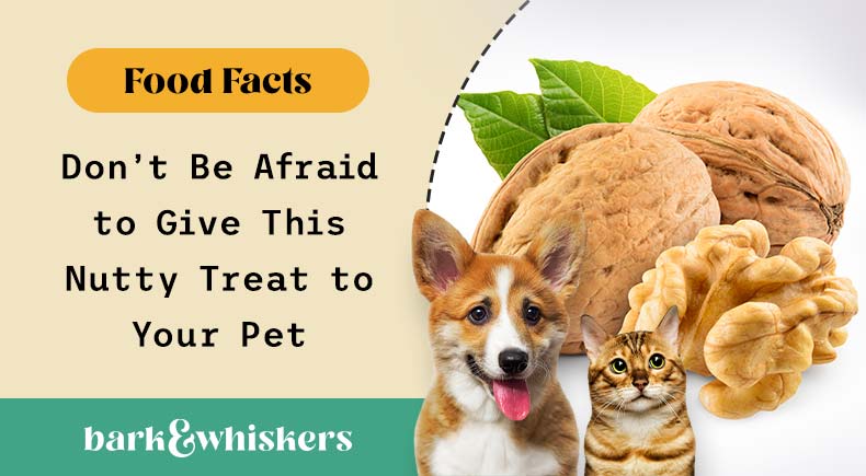 can you feed walnuts to your pets