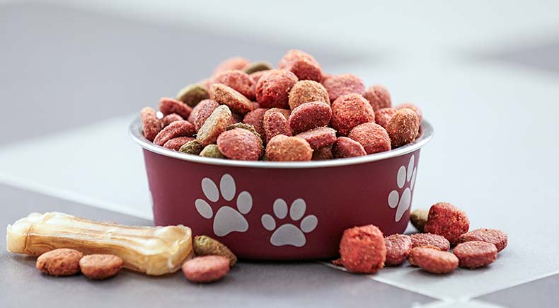 best to worst pet food types