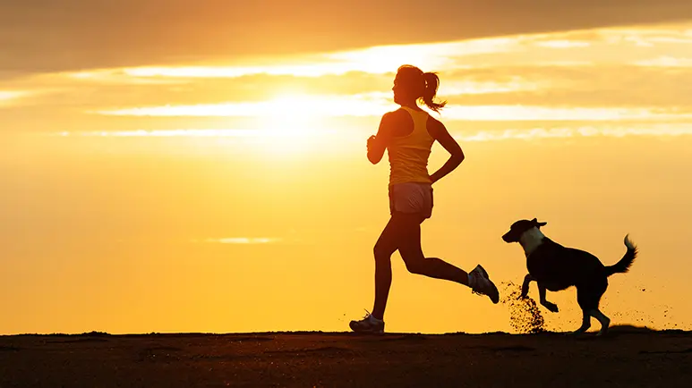 benefits of exercise for dogs