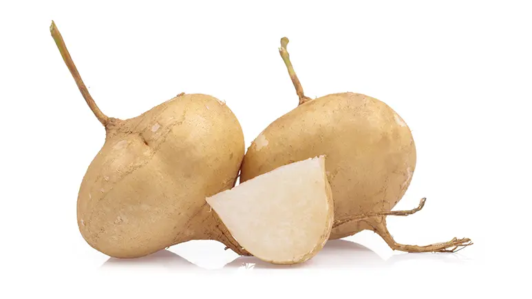 can you feed jicama to your pets
