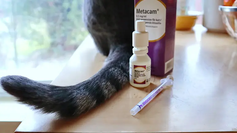 meloxicam