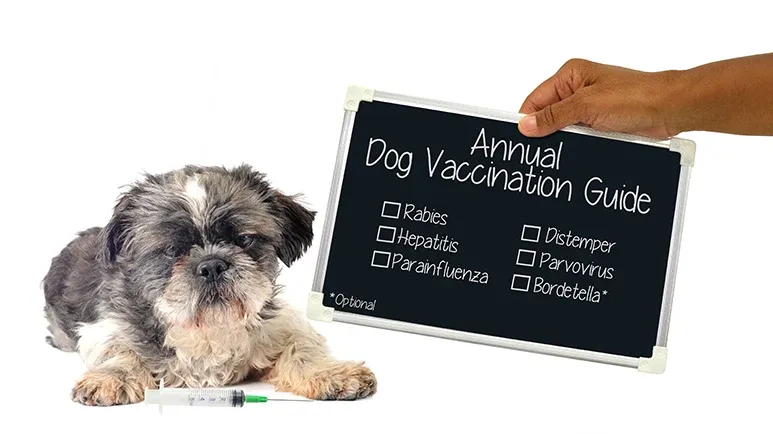 canine vaccine guidelines
