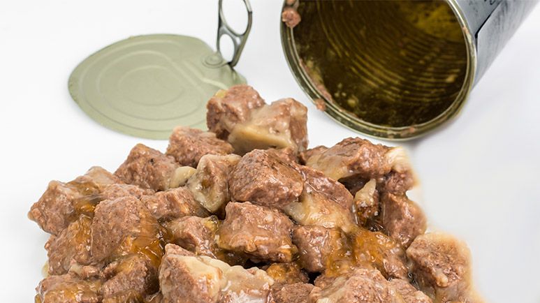 dog food recalled pentobarbital contamination