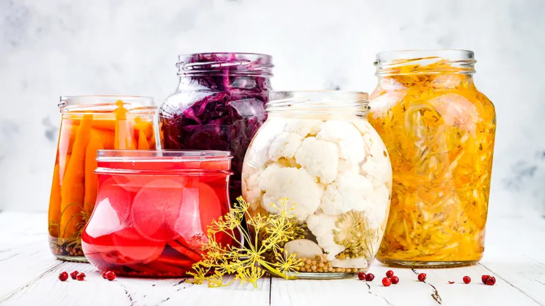 pet fermented vegetables