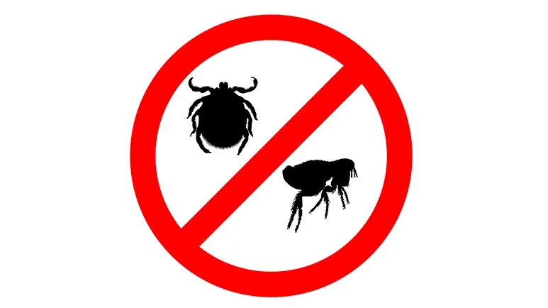 how to protect your pets from ticks