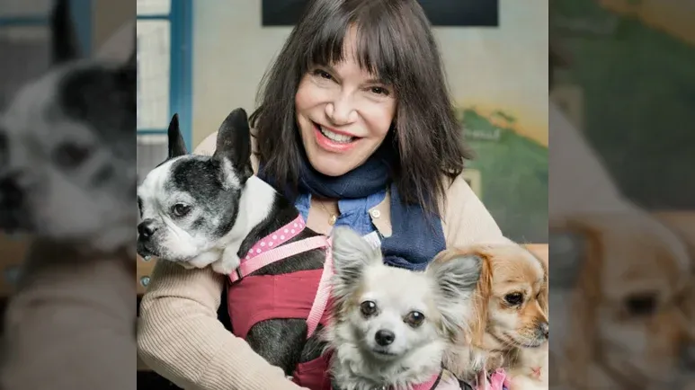 muttville senior dog rescue
