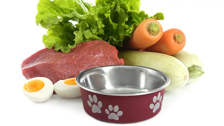 pet owner switch from kibble to raw meat