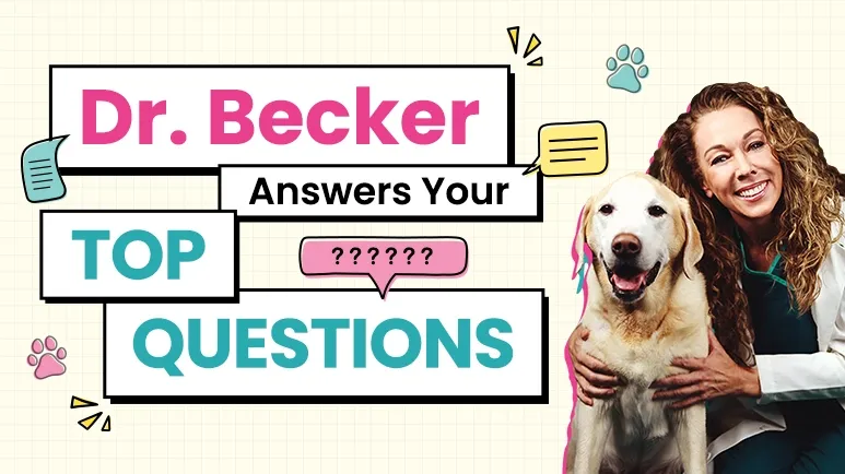 Q&A with Dr. Becker