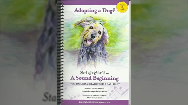 understanding rescue dogs