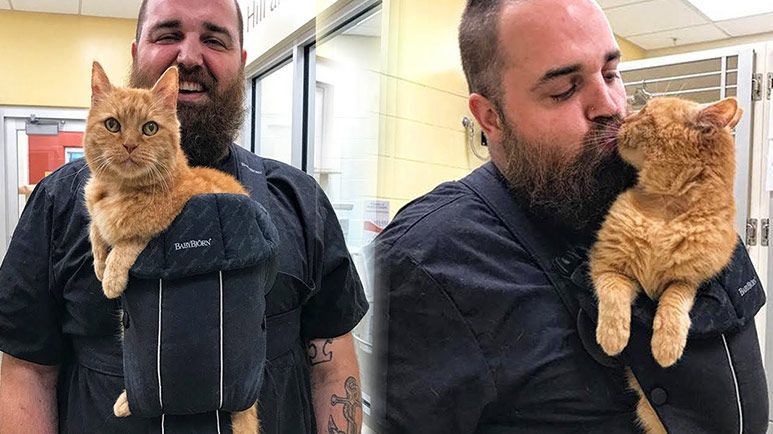 clingy shelter kitty given just what he needs