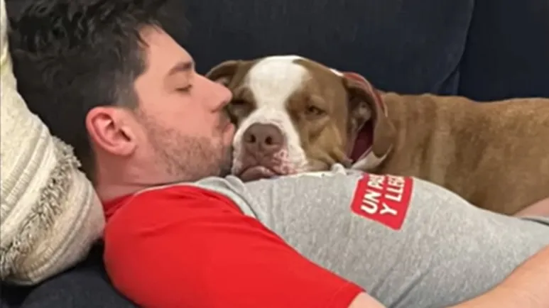 foster fail dog