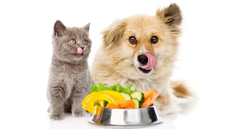 pet food toppers