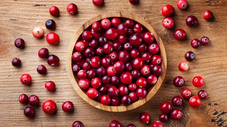can you feed cranberries to your pets