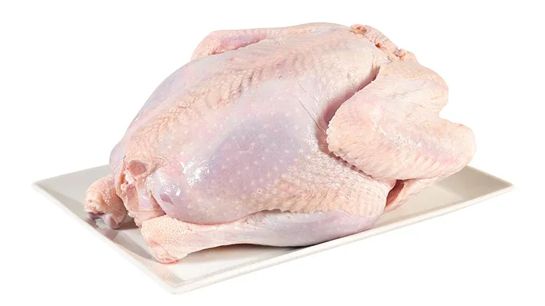 can your pets eat turkey?