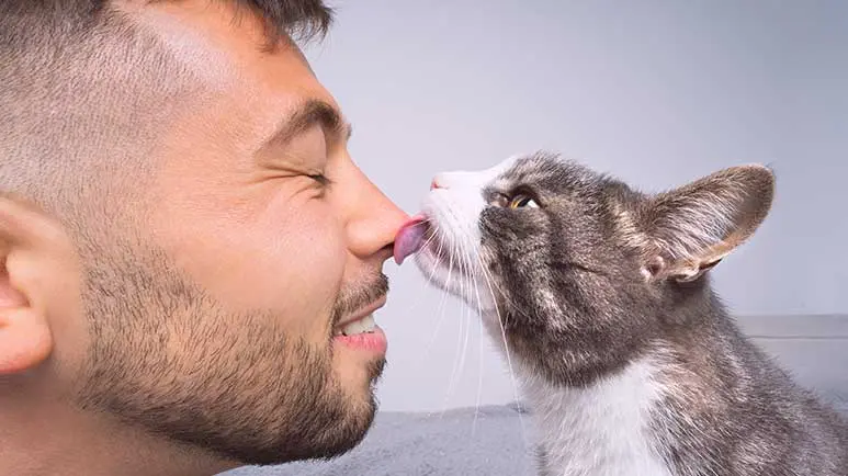 10 ways cat shows love