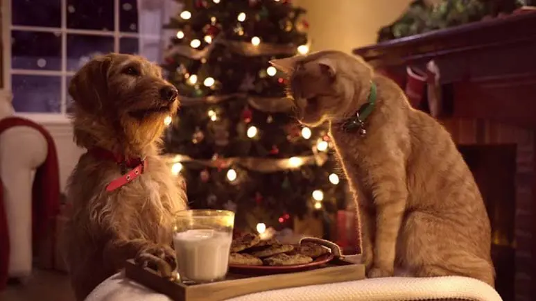 a christmas vignette with fido fluffy and squeaker