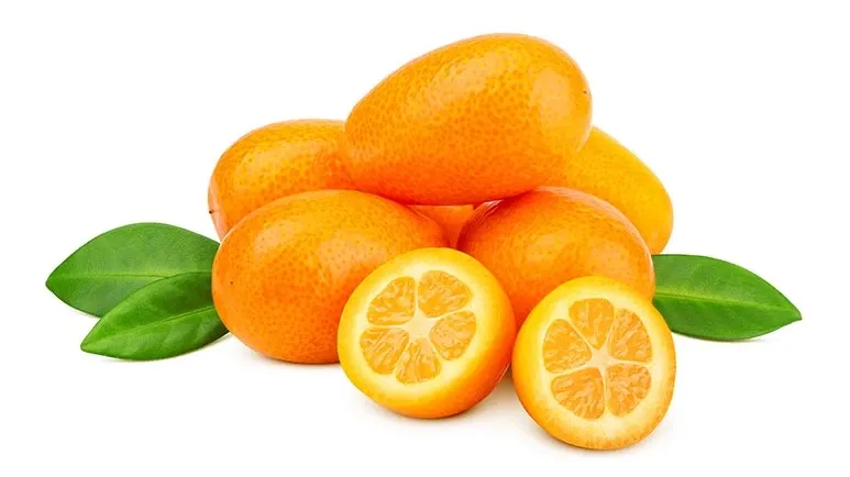can you feed kumquats to your pets