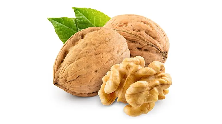 can you feed walnuts to your pets