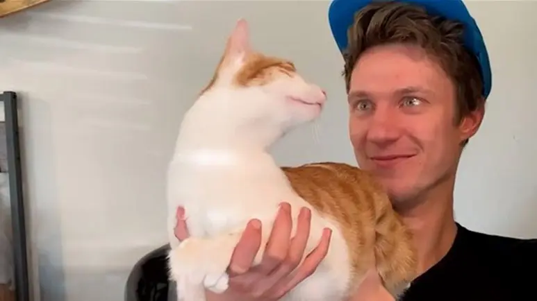 cat named dave is obsessed with his humans boyfriend