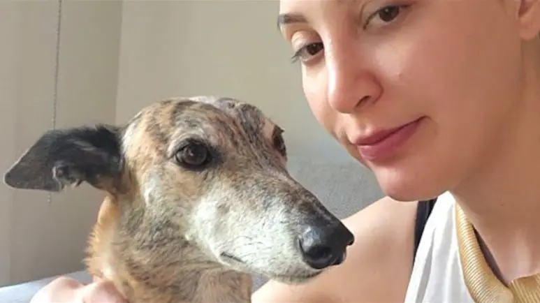 greyhounds needed freedom and friendship