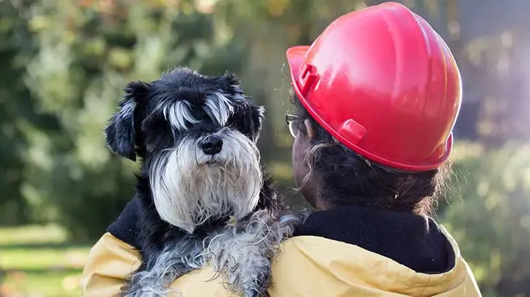 saving pets during rapid onset disasters