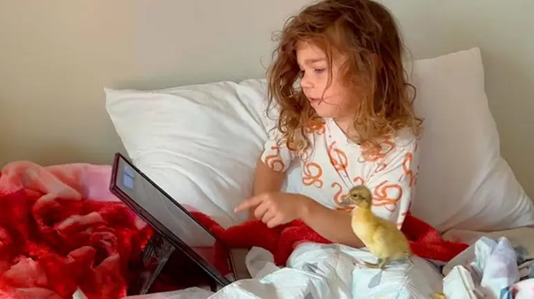 their friendship stuck from an egg to a duck