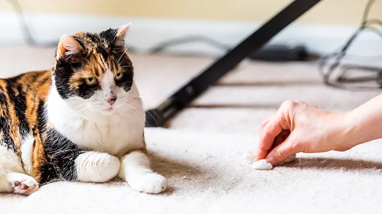 how to help cat with hairball