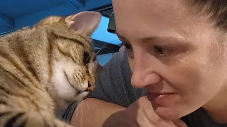 a burned cats path to recovery and joy