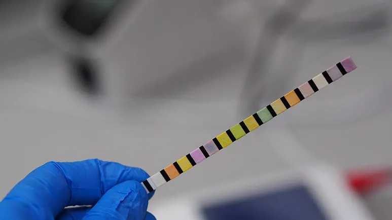 pets complete urinalysis