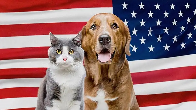 pets fourth of july