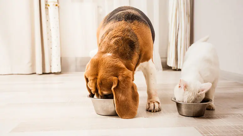 pets functional foods