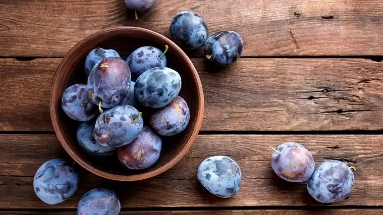 can you feed plums to your pets
