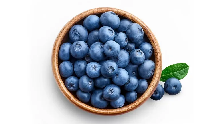 can you feed blueberries to your pets
