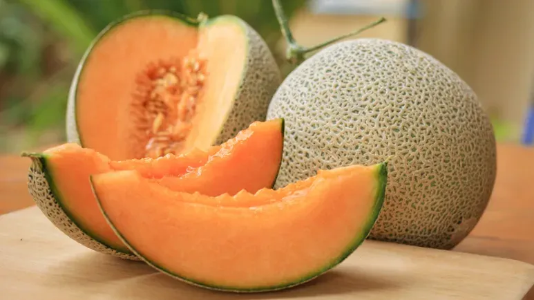 can you feed cantaloupe to your pets