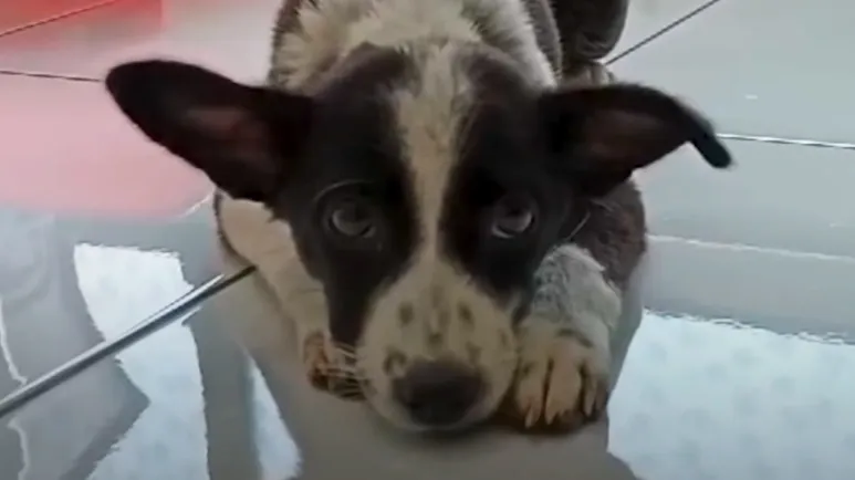 found on the road full of love