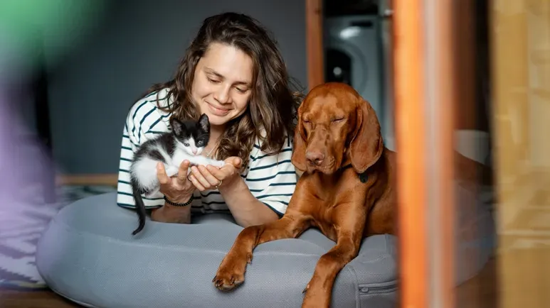animal emergencies