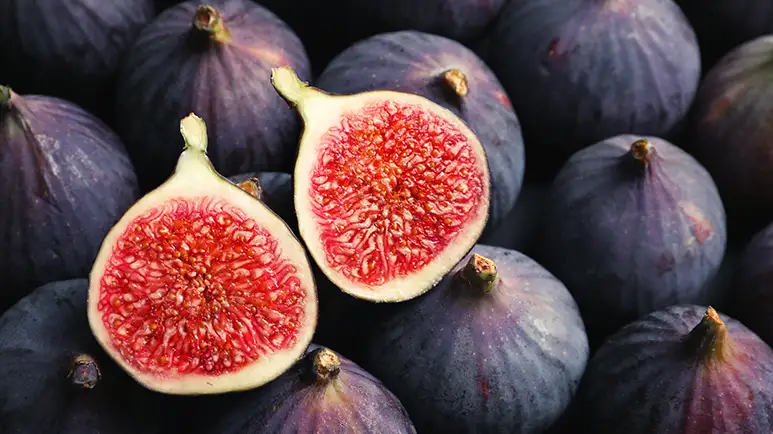 can you feed figs to your pets