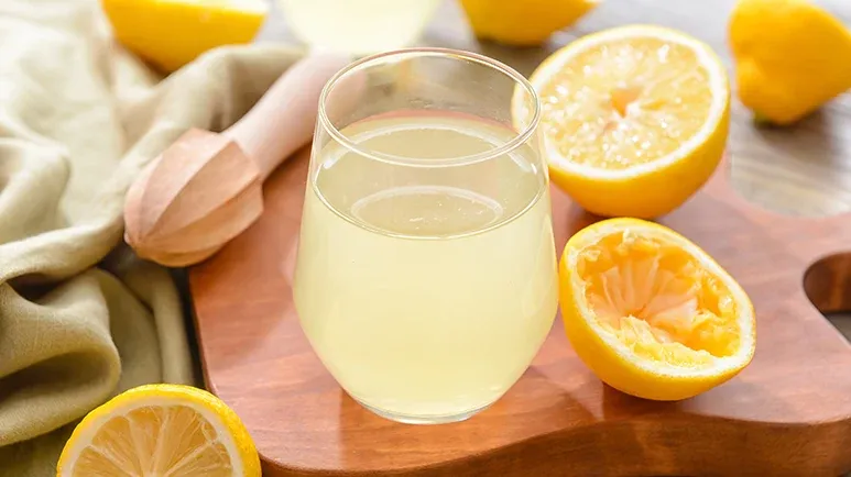 can you feed lemons to your pet
