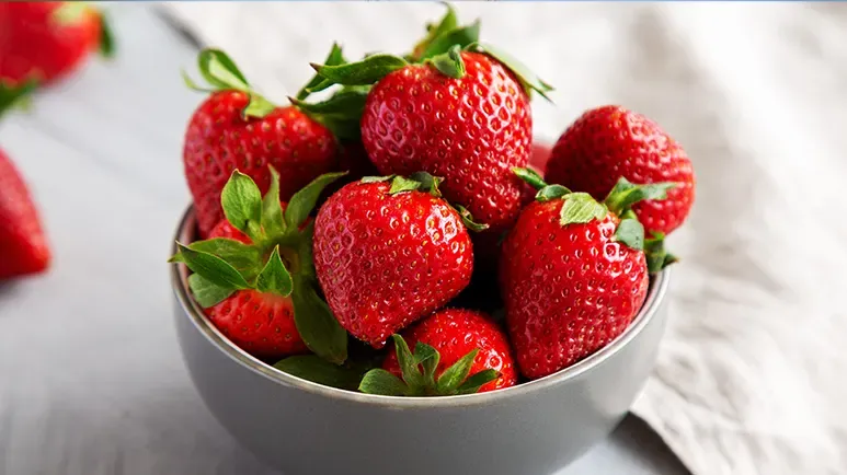 can you feed strawberries to your pets