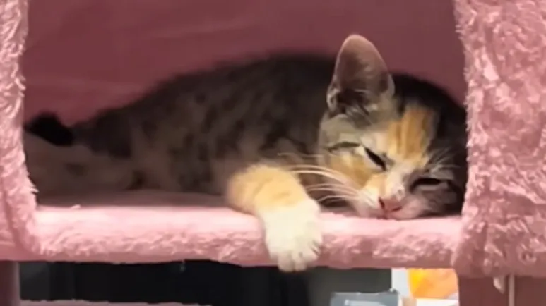 left behind but not forgotten