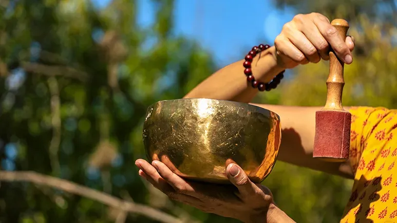 sound vibrations dogs relief