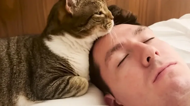 karen the cats daily routine with her dad
