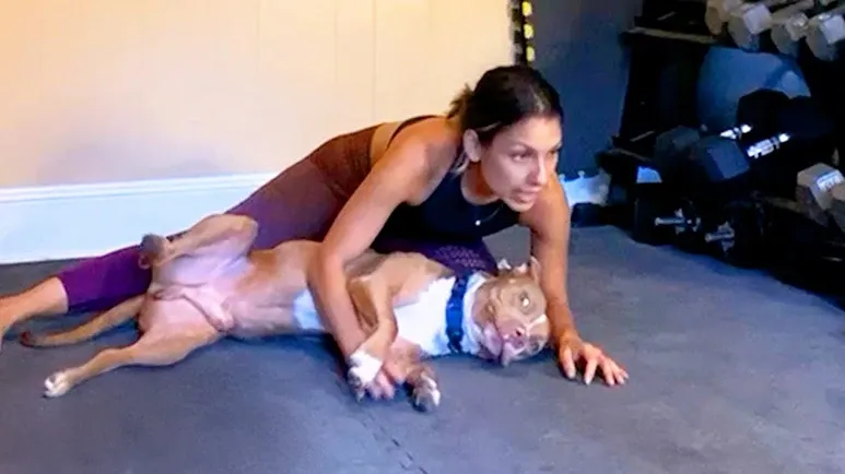 loyal pit bull helps mom heal after her sons passing