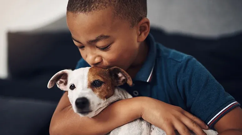 owning dog improves gut health