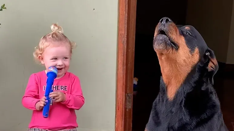 rottie howls along when her baby sister starts singing