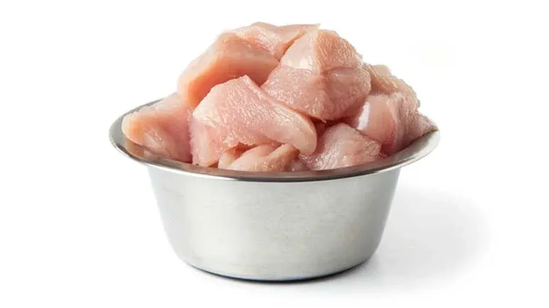 cafo chicken bird flu